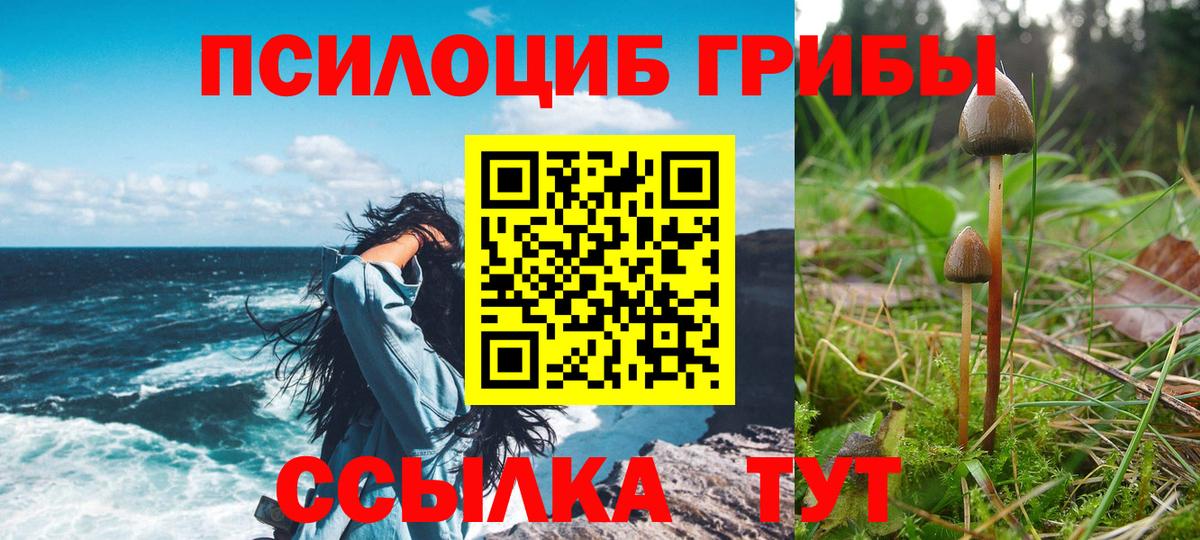 Псилоцибиновые грибы мицелий  Галлюциногенные грибы прущие грибы  где продают   Вход с VPN  Новочебоксарск 