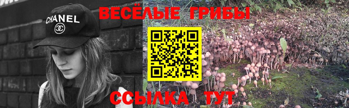 Галлюциногенные грибы Cubensis Новочебоксарск